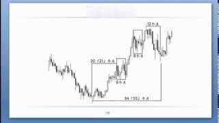 黄金外汇交易培训进阶班第5-5讲：斐波那契时间周期的应用