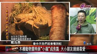 20250130玉京子曲直向前展魅力 動物園邀您探索\