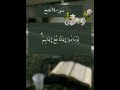 تصميم قران بصوت عبدالرحمن مسعد - حالات واتس اب قران سورة الفتح