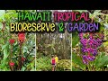 HAWAII TROPICAL BIORESERVE & GARDEN // HAWAII TROPICAL BOTANICAL GARDEN // BIG ISLAND // HAWAII