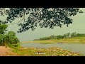 আপনি নীরব থাকুন প্রকৃতি আপনার হয়ে কথা বলবে 🌿 . weather foryou viral