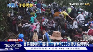 冒險闖越死亡叢林! 三個月4000大陸人偷渡美國｜TVBS新聞 @TVBSNEWS01