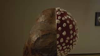 EXPOSIÇÃO | THE ART OF MUSHROOMS - A ARTE DOS COGUMELOS | vídeo promocional