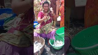 Travely #fish #yallam# kasimedu #fish# market# chennai #shots