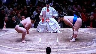 千代大龍 vs 琴奨菊 2018年大相撲初場所11日目 20180124