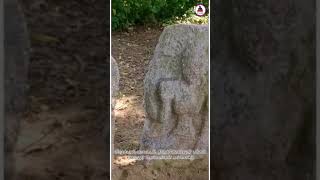 Viluppuram Thirukovilur Edaiyur | Paraiyar Temple God's Hero Stones