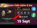 19 September Hamster Kombat daily mini key & Daily Cipher & daily combo #hamsterkombatdailycombo