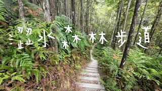 【澀水森林步道2024】號稱侏羅紀公園，隱藏在社區的秘境。茶園、森林、溪流、瀑布各種生態，一次滿足。4k影片