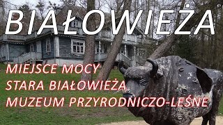 BIAŁOWIEŻA - Miejsce mocy, Stara Białowieża i Muzeum Przyrodniczo Leśne