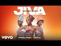 Brenda Fassie, Zenn'Bk - Jiva 2.0 (Visualizer / Bacardi Remix)