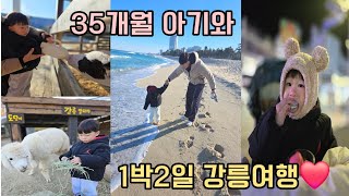 [vlog] 35개월 아기와 강릉 1박2일 여행, 동해바다, 대게와 장갈쿡수, 동물농장