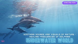 Soothing underwater sounds and visuals of nature - Healing Frequencies of Dolphins