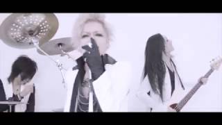 The THIRTEEN White Dust PV