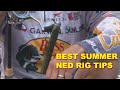 Summer Bass Fishing With The Ned Rig with Mike McClelland | Bass Fishing