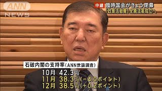 臨時国会がきょう閉幕 「政策活動費」全廃法案成立へ(2024年12月24日)