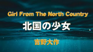 Girl from the North Country (Cover) Daisaku Yoshino / 「北国の少女」 吉野大作