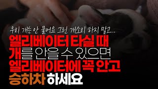 (※시청자댓글) 엘리베이터 타실 때 대형견은 몰라도 중형견이던 소형견이던 안을 수 있으면 엘리베이터에 꼭 안고 승하차 하세요. 안 그러면 사고 날 수 있습니다.