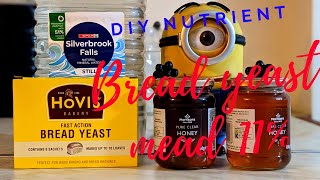 using DIY nutrient to brew bread yeast mead. 11%