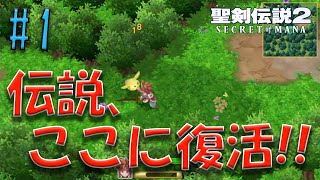 【聖剣伝説2】#1 名作アクションRPGのリメイク版！伝説の聖剣を巡る壮大な物語が3Dで大復活！！【SECRET of MANA】