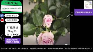 玫瑰小知識（海洋之歌玫瑰獨特性及花語）