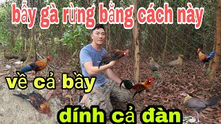 lưới bẫy gà rừng chỉ 250k/tấm bấm chì bằng máy.viền cước chống rối,chống bám rác #bẫygàrừng #garung