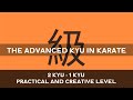 THE BROWN BELT  |  ADVANCED 2 KYU - 1 KYU  |  KYOKUSHIN VLOG-28