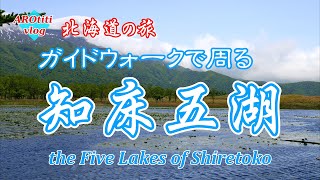 #71 北海道の旅 知床五湖ガイドウォーク : the Five Lakes of Shiretoko