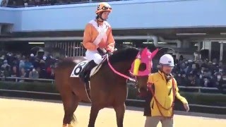 中央競馬の藤田菜七子騎手デビュー