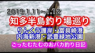 知多半島釣り場巡り【りんくう護岸、富具崎港、内海新港、武豊緑地公園、泡風呂】