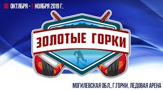 30.10.2019. 2010. Золотые Горки. Филин-2 - Динамо-Светлогорец