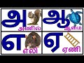 Uyir Ezhuthukal | Learn Tamil Alphabets/அ அம்மா 🤱 ஆ ஆடு 🐐 || அ ஆ இ ஈ   / உயிர் எழுத்துக்கள் /@prinit