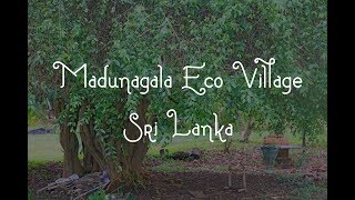 Madunagala Eco Village | Sri Lanka