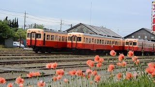 初夏の小湊鉄道（五井～養老渓谷キハ200乗車編）