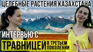 Целебные Растения Казахстана - Интервью с Анастассией