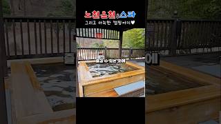 겨울엔 따끈따끈 온천♨️ 그리고 캠핑까지 #camping #온천 #캠핑