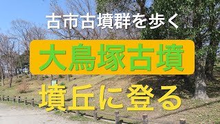 古市古墳群を歩く（NO4)大鳥塚古墳の墳丘に登る。葺石がたくさん転がっていた。2021.04.01