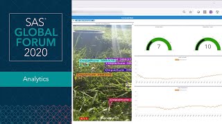 How We Monitor Bee Activity at the SAS Bee Hives using IoT and Computer Vision