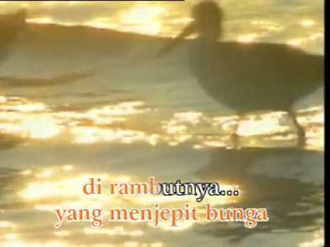 FRANKY & JANE - MUSIM BUNGA FRANKY & JANE - MUSIM BUNGA