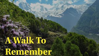 A WALK ON PANCHACHULI BASE CAMP ||