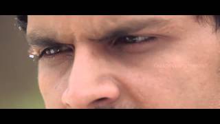 Race Gurram Movie Scenes -Allu Arjun's brother romantic scene - Shruti Hassan
