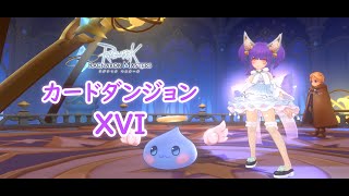 【ラグマス】カードダンジョンXVI (16) AAAM solo || Oracle Dungeon XVI | Ragnarok M Eternal Love