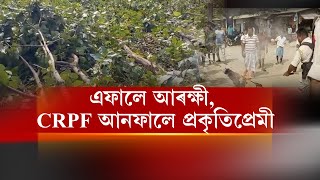 এফালে আৰক্ষী, CRPF আনফালে প্ৰকৃতিপ্ৰেমী