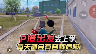 君君解说：假如你住在P港，每天去上学，怎样才能安全准时到校？