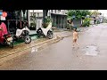 ep.369 비오는 날☔ 라오스🇱🇦감성여행