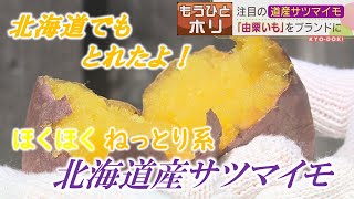 【焼いも】ホクホクでねっとり系で人気上昇「由栗いも」北海道産サツマイモに注目 もうひとホリ 2022年10月18日放送