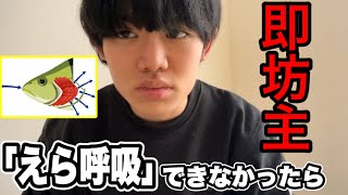 「えら呼吸」できなかったら即坊主【挑戦】