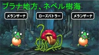 【DQMSL】第二世界、ブラナ地方、ネベル樹海【2-4】