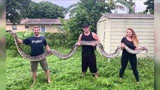 Florida men capture state record 18-foot python