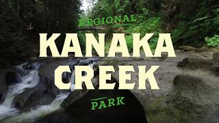 Kanaka Creek Regional Park Profile 2017