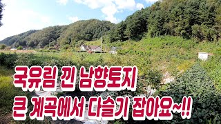 양평토지매매, 국유림받친 남향토지, 배산임수 500평 땅! 관리지역 토지, 양평주택 급매물전문 양평부동산[전원닷컴 31205]